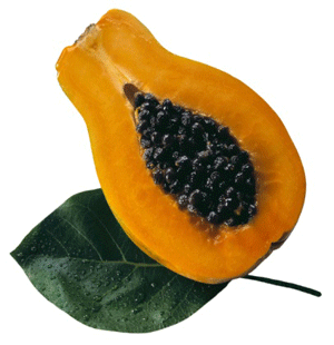 papaya kills cancer cells